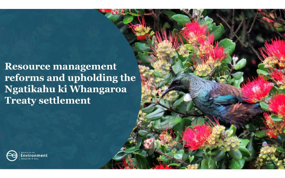 RMA REFORM: UPHOLDING TREATY SETTLEMENTS FOR NGATIKAHU KI WHANGAROA