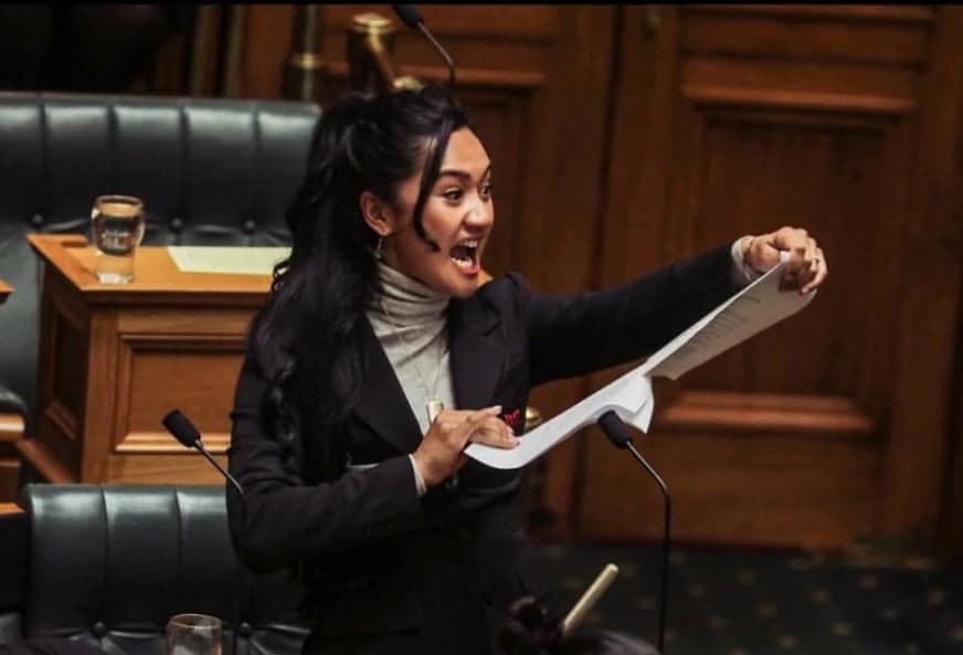 Submissions for the Treaty Principles Bill